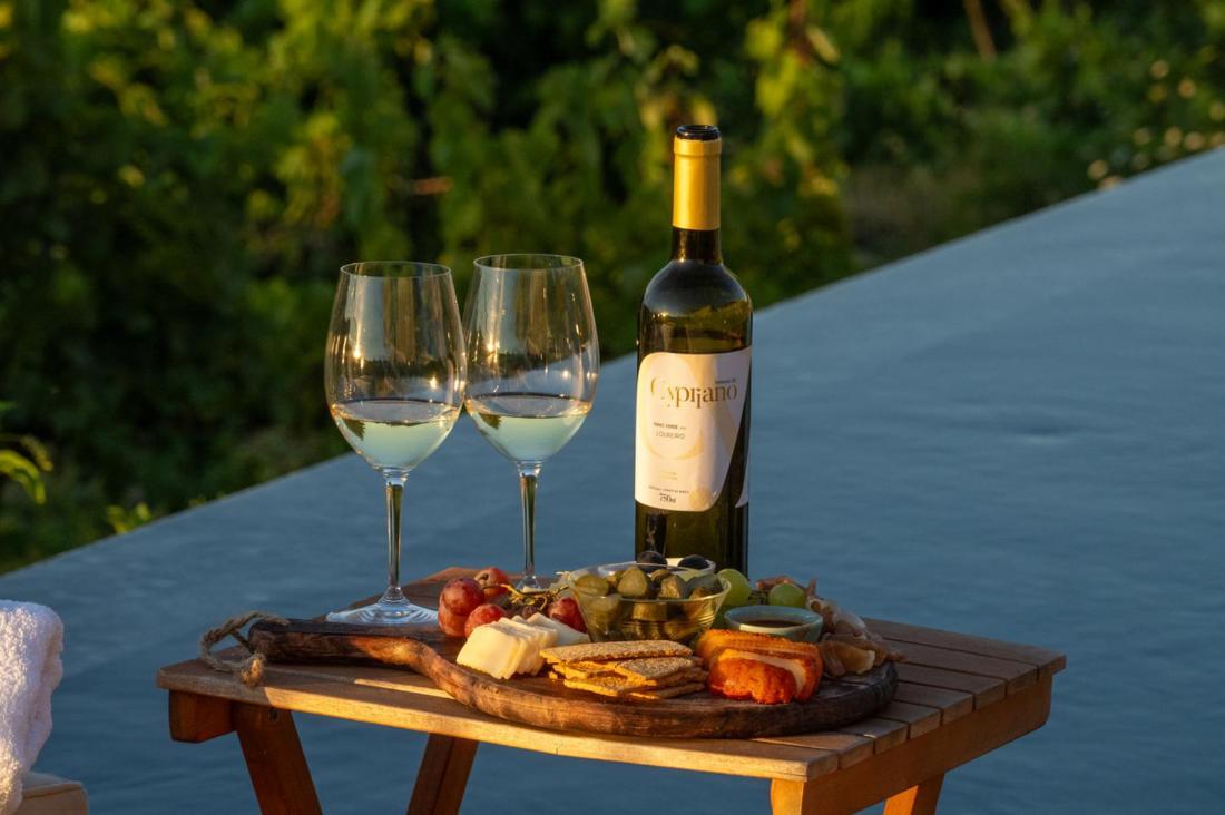 Quinta De Cypriano - Wine & Nature Ponte da Barca Εξωτερικό φωτογραφία